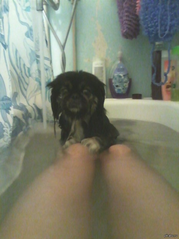 �� ������ ��� �������, ������� ������� ���� � �������� "����� ������".