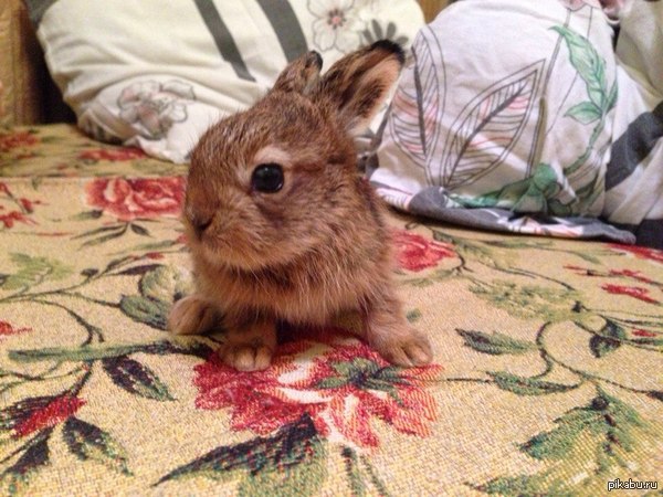 ����� �������� ������ ���� � ����� ����� :)