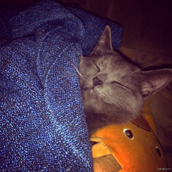 �� �������, �����...