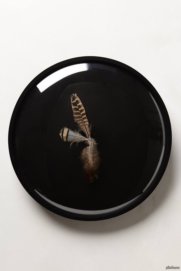 ����� ������ �������