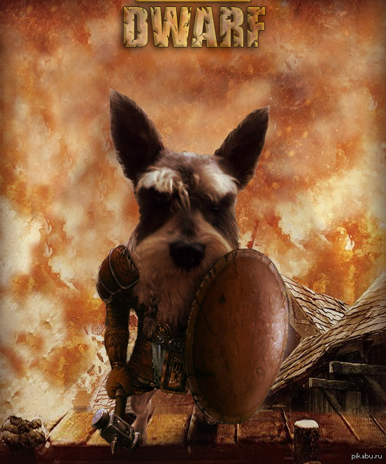 � ����� �� ���� 