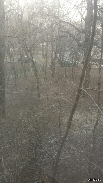 Два часа назад светило солнце