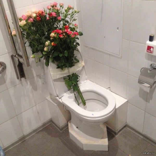 А что ты знаешь о романтике?