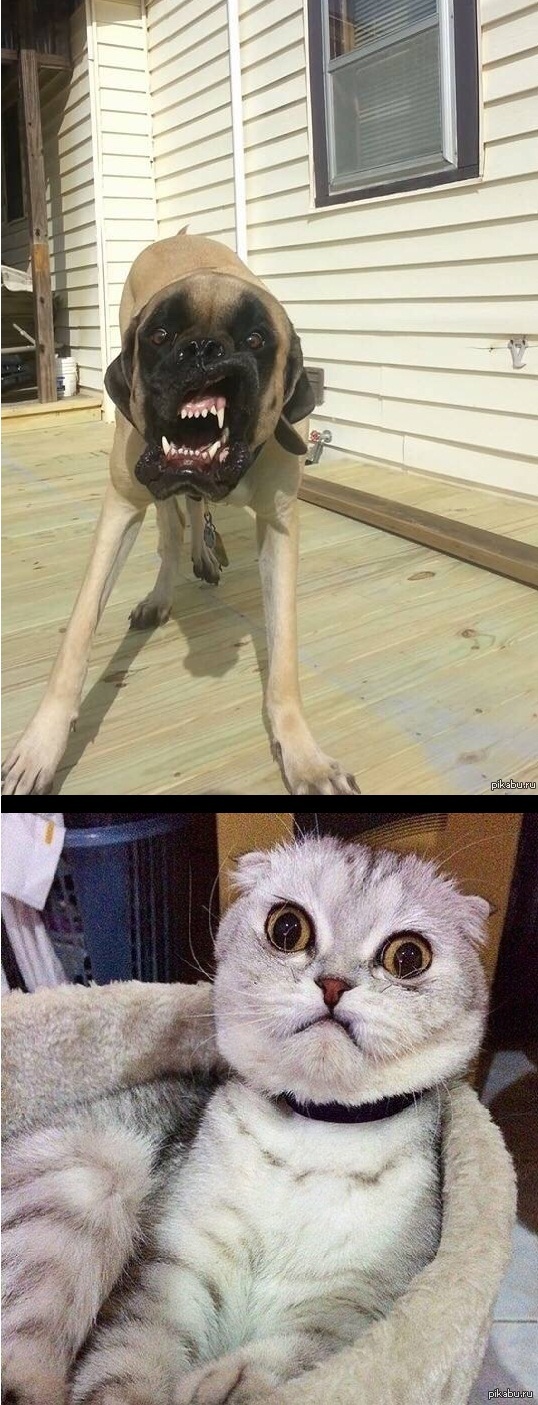 По мотивам двух постов