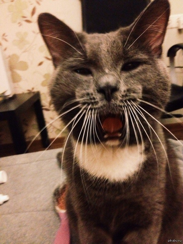 ������ ������ ���� ����� � ������ �������. ������ ���� ;-)