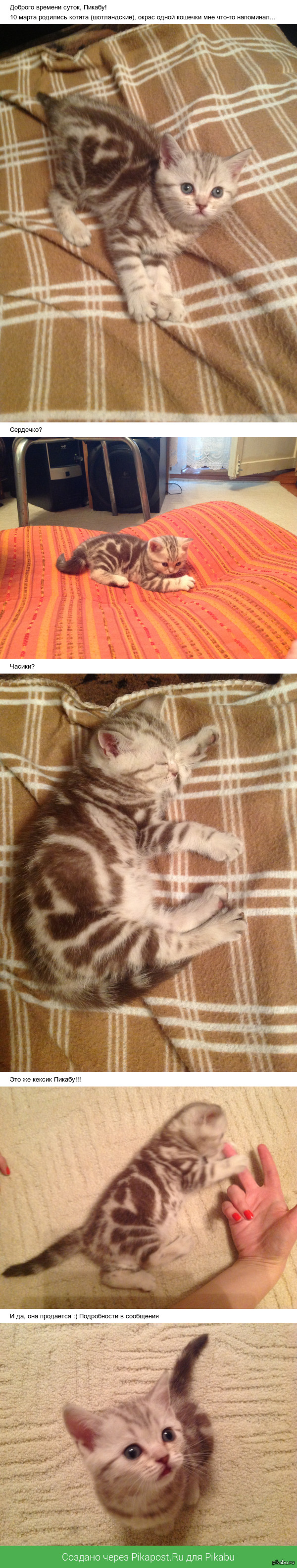 ������! ������� � ���������� �������!