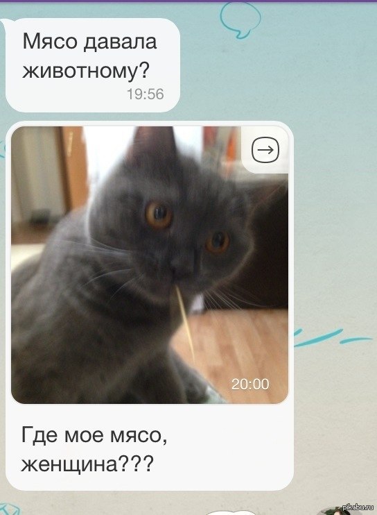 �������� ���