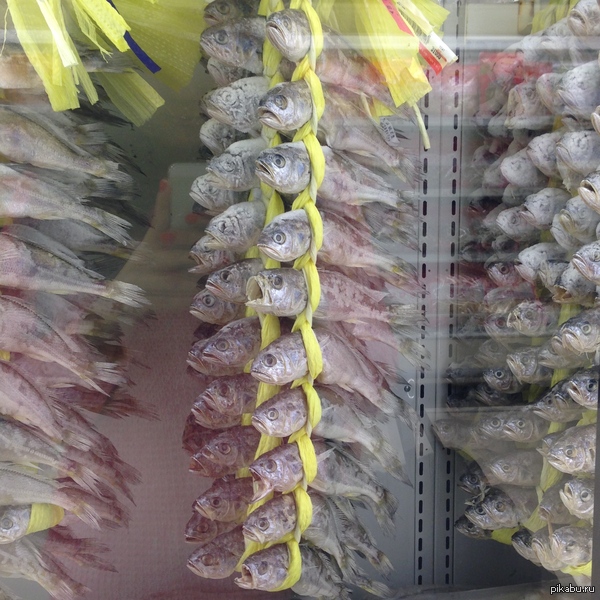 Как я вижу одногруппников, которые спорят на паре о том, нужно закрыть окно или нет