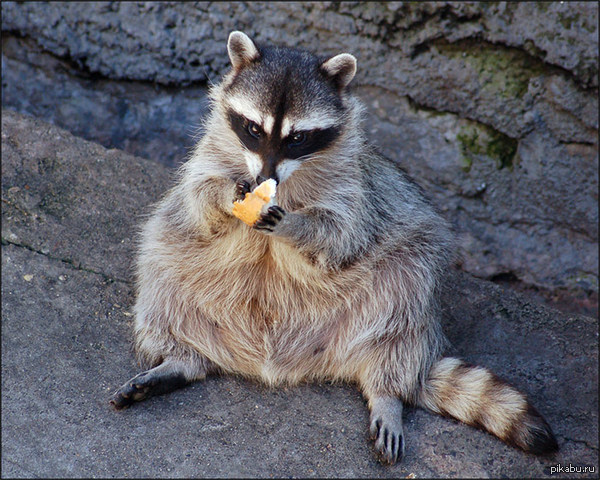 ������������ ��� ����� ����� ��� ���������� ���� ����������