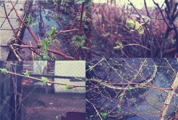 По Московскому времени - пятничное "моё". По моему времени - послепятничное "моё" :)