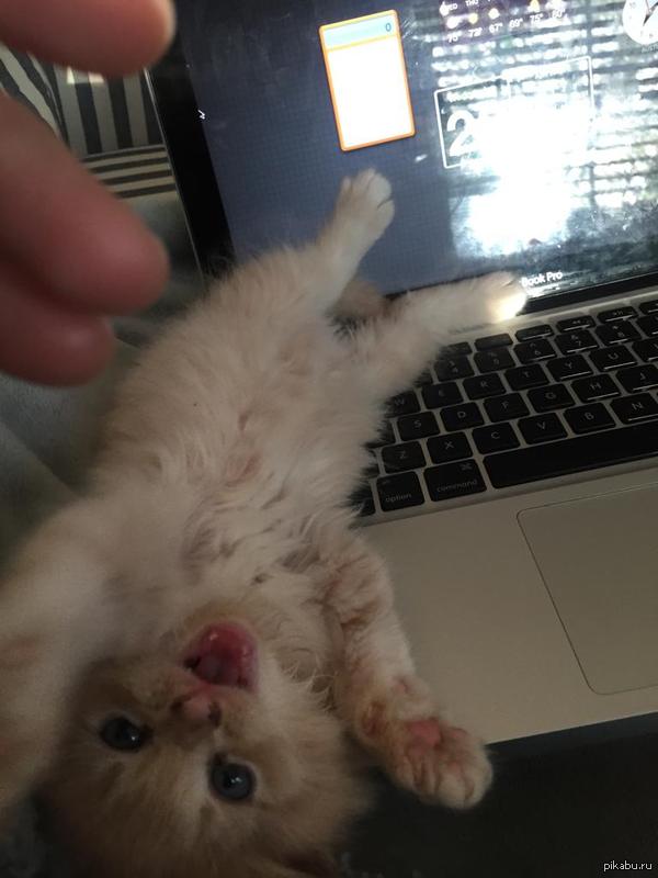 ������� �� ����!