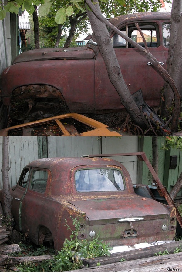 Пикабу, надежда на вас :3