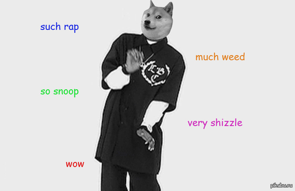Snoop Doge 