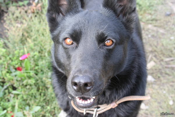 �������� ��������� �2