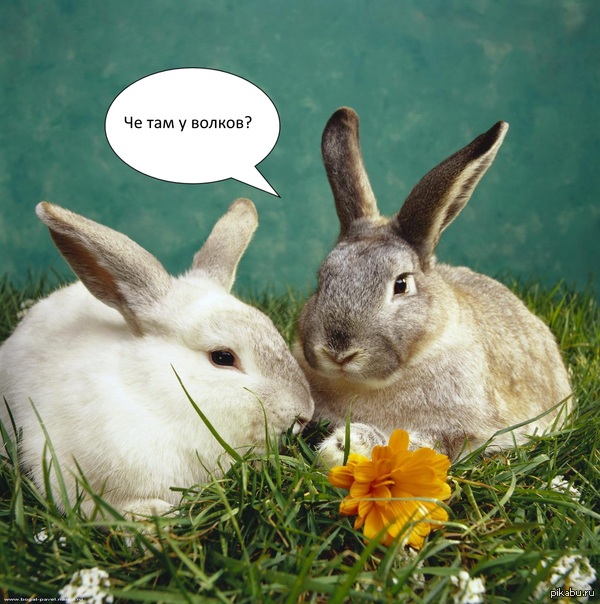 �� ��� ���?