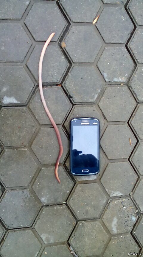 ��� ������������.