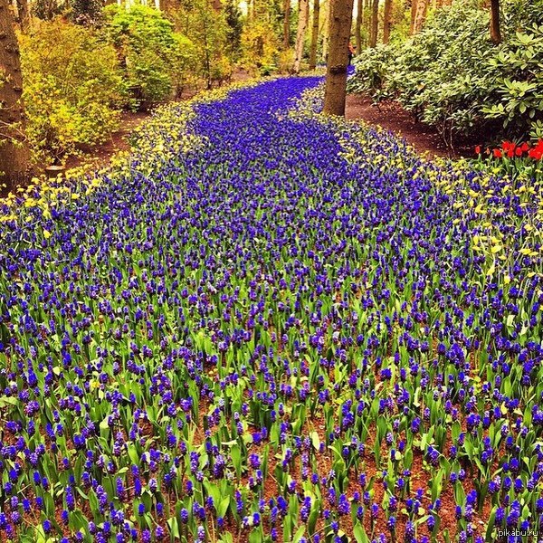 ���� ��������� � ����������