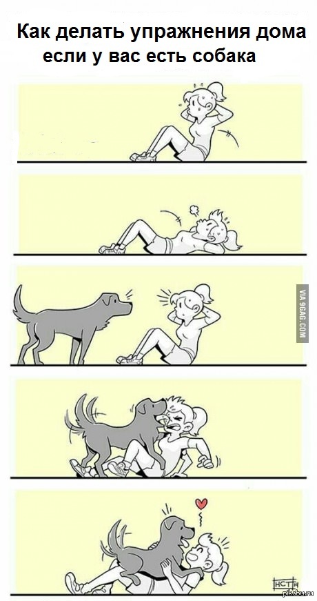 I also have a dog. Когда у тебя есть собака. DOGPILL теория. Чем заняться с собакой дома. Funny funnier the funniest 3 Dogs рисунки.