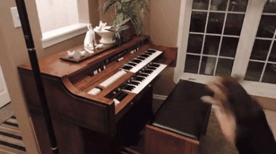  : &quot;&quot;, &quot; &quot;  &quot;&quot;.