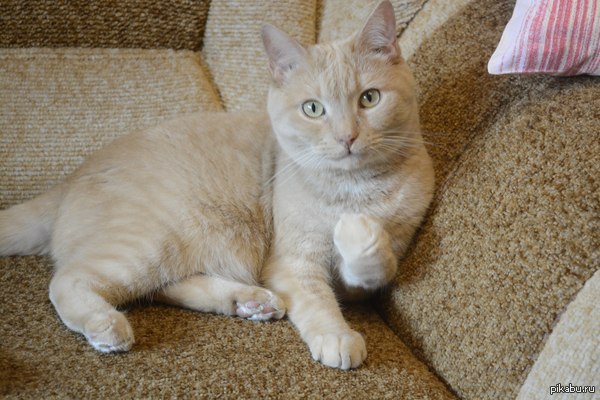 ��� ������� ^^