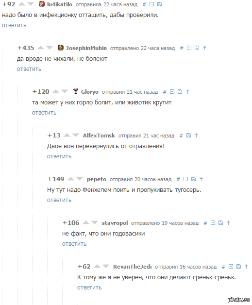 Ветка про клещей