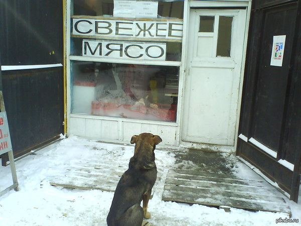 ������� �������