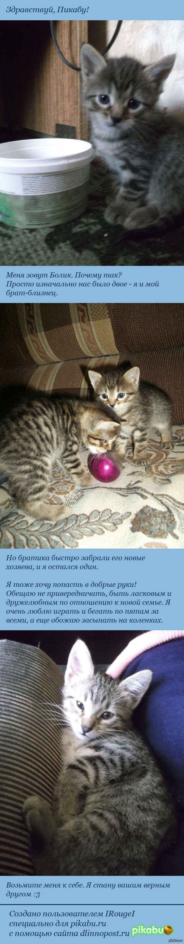  ,  !       :3   .     .    ,      .  .
