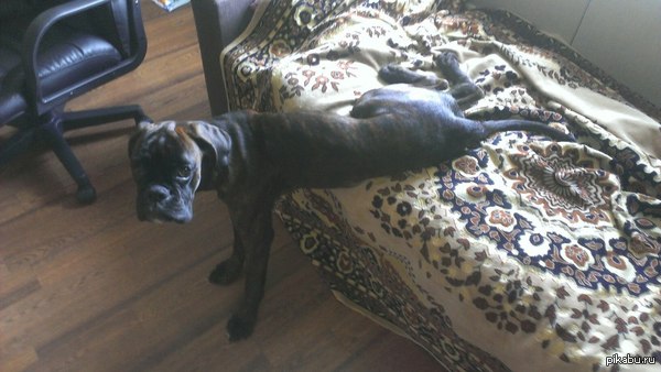 Когда не можешь определится.