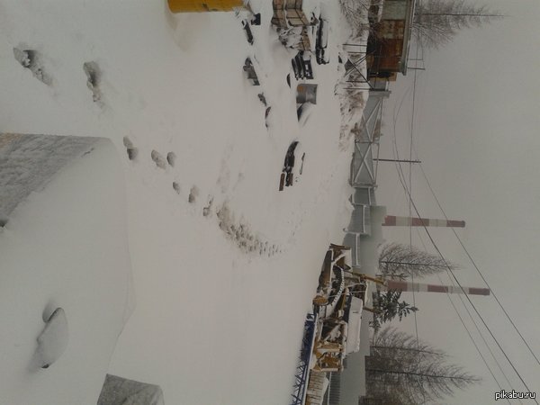 ���� ��� � ���, ���� ��� � ����.  ������ - ����� � ���!