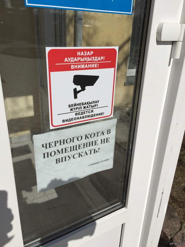 �� ��� ��� ��� ���� ���������?!