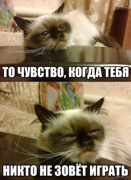 ����� ������ ��� ������ ��� ����:(