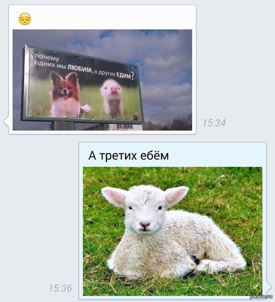 ��� ����� � ���������