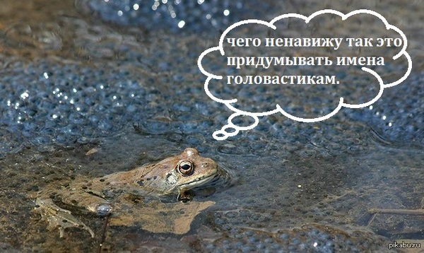 всего надо придумать три четыре тысячи имён. | Пикабу