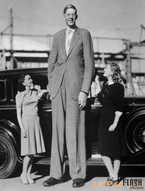 Самый Длинный Человек В Мире Фото