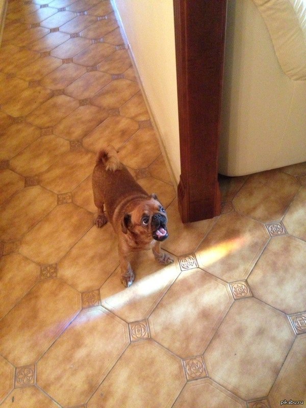 ������ �������� � ��� ����� ��� :)