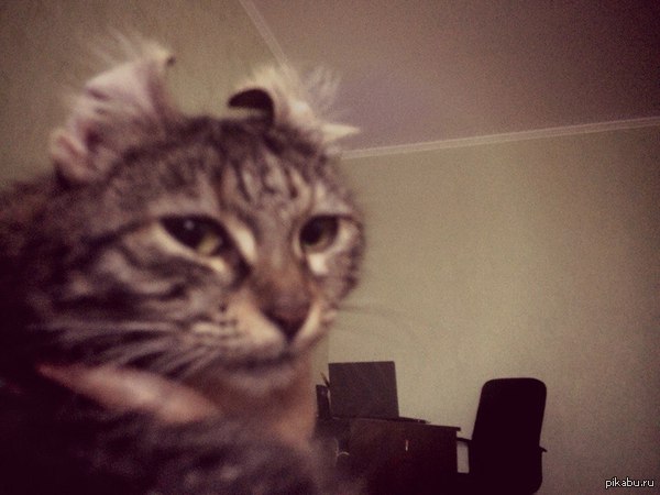 �� �������� ������