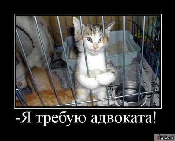 ����������� ..