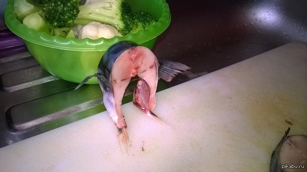 ���!!! ���� �������������.