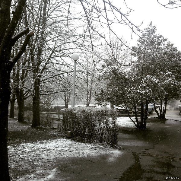 �� ������ �������