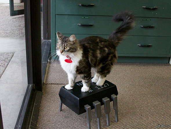 Самая большая в мире микросхема