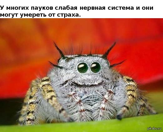 Оказывается... | Пикабу