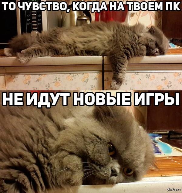 �������� ��������