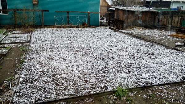 ������, ����� ������ ���.