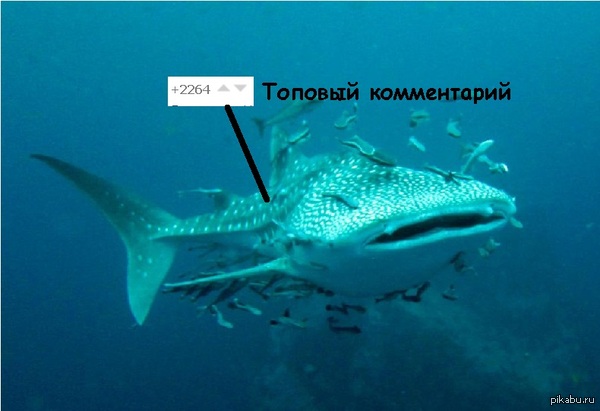 Как я вижу тех кто пишет под топовым комментарием