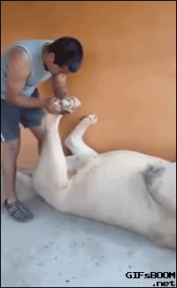 ) 