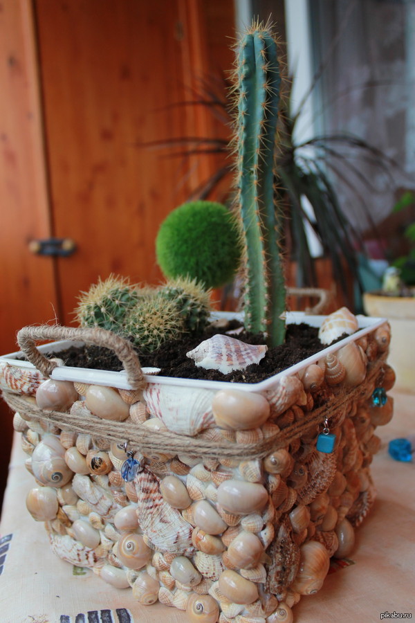 ��������� �� - �������� ��� �������� �� �������.