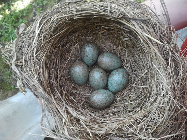 ��������� ��������