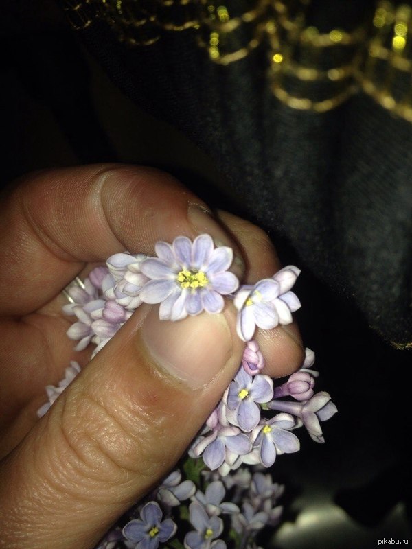 �������!!!