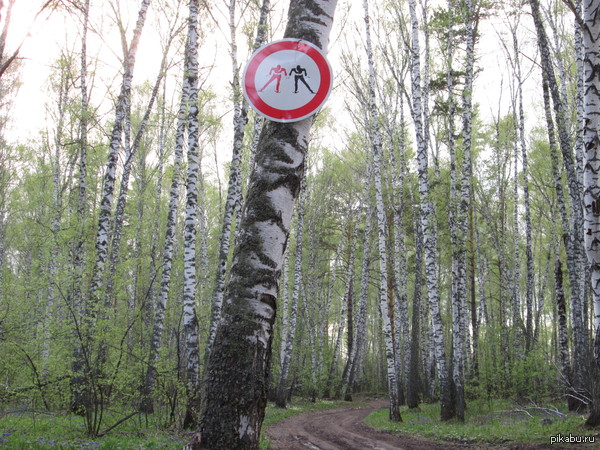 ������� �������� �����