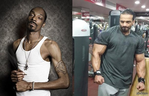 ���������� � ����